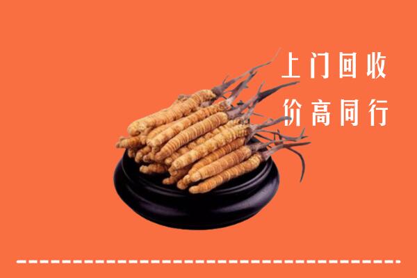 高价求购：海南省万宁回收散虫草