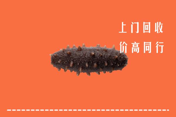 高价求购：海南省万宁回收海参